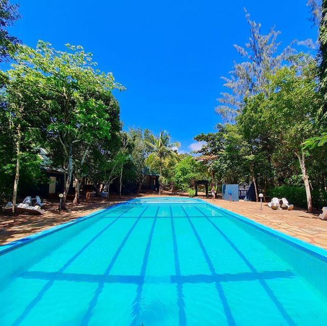 Kijani Cottages Diani Diani Beach Extérieur photo